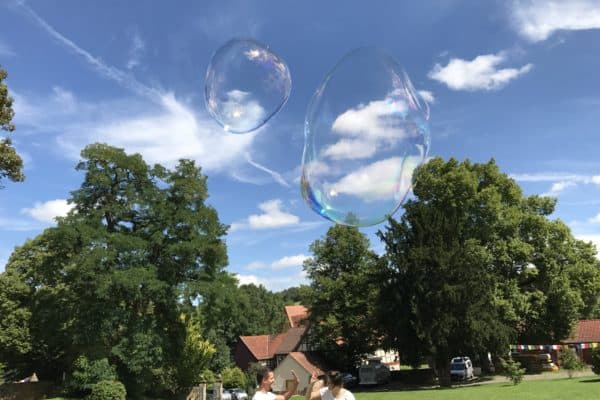 20170809_111434140_iOS