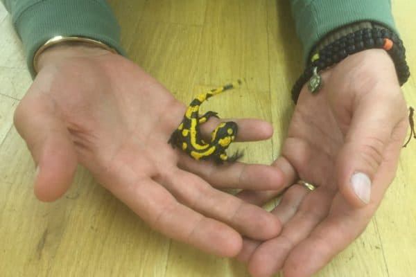 20160821_193659241_iOS